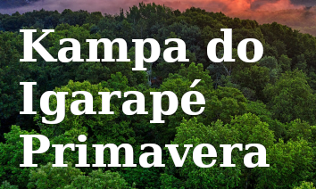 Imagem do Povo Indígena Kampa do Igarapé Primavera