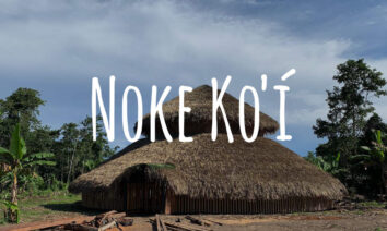 Imagem do Povo Indígena Noke Ko'í